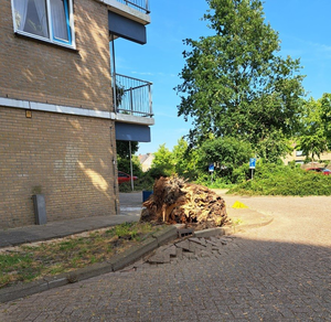 NOC-Poly-025 Stormschade in de wijk Wheermolen